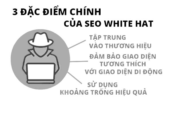 đặc điểm seo white hat