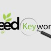 seed-keyword-03