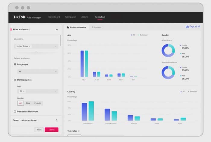 TikTok ra mắt công cụ Audience Insights