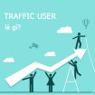 traffic-user-001