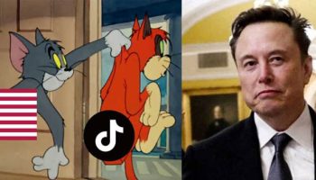 elon-musk-doi-mua-lai-tiktok-doi-ten-thanh-xvideos-001