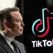 tiktok-tai-my-co-the-ban-lai-cho-elon-musk
